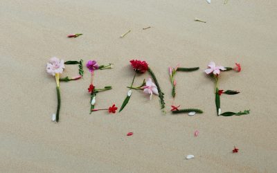 My Journey Through Anxiety and the Foundations of True Calm